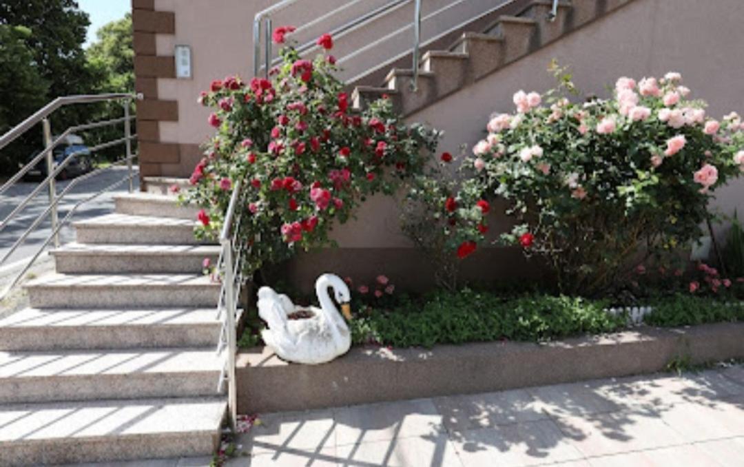 Rooms Odmaraliste Jablan Senj  Dış mekan fotoğraf